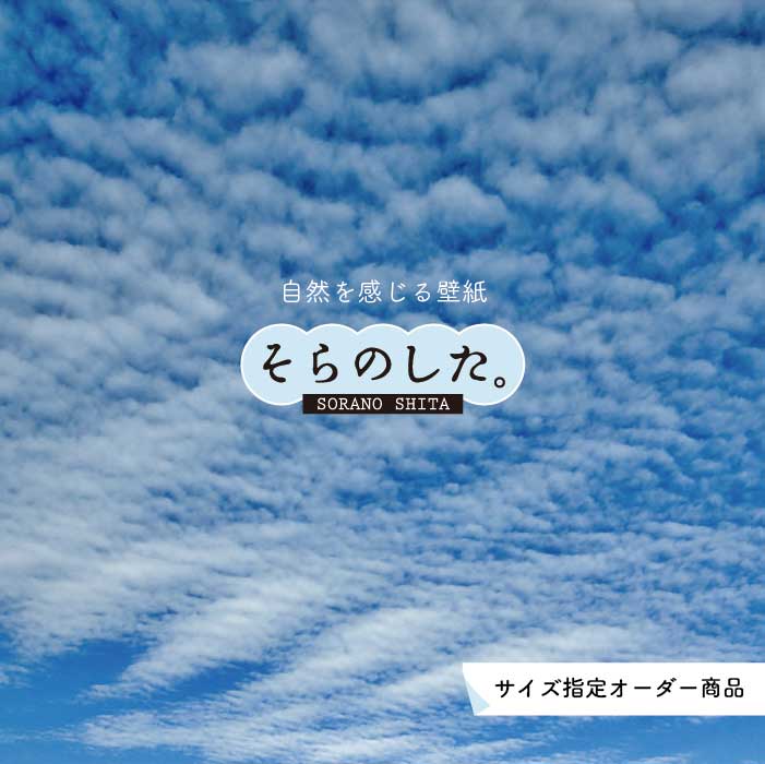 Rakuten - 【オーダー壁紙】 壁紙 空 おしゃれ 写真 自然 雲 スカイ クラウド 癒し 貼りやすい デザイン 防カビ 日本製 国産 リメイク 模様替え 店舗 天井 部屋 寝室 キッチン リビング トイレ 美しい 風景 景色 白 ブルー かべがみはるこ そらのした。