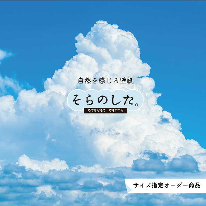 【オーダー壁紙】 壁紙 空 おしゃれ 写真 自然 雲 入道雲 スカイ クラウド 癒し 貼りやすい デザイン 防カビ 日本製 国産 リメイク 模様替え 店舗 天井 部屋 寝室 キッチン リビング トイレ 美しい 風景 景色 白 ブルー かべがみはるこ そらのした。