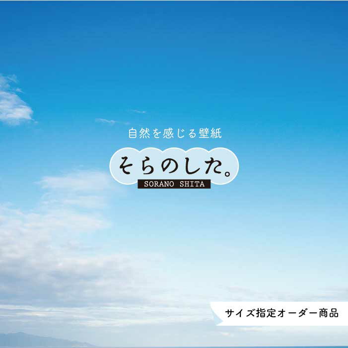 Rakuten - 【オーダー壁紙】 壁紙 空 おしゃれ 写真 自然 雲 スカイ クラウド 癒し 貼りやすい デザイン 防カビ 日本製 国産 リメイク 模様替え 店舗 天井 部屋 寝室 キッチン リビング トイレ 美しい 風景 景色 白 ブルー かべがみはるこ そらのした。