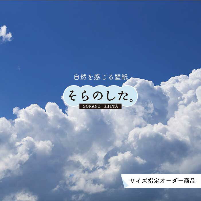 【オーダー壁紙】 壁紙 空 おしゃれ 写真 自然 雲 スカイ クラウド 癒し 貼りやすい デザイン 防カビ ..