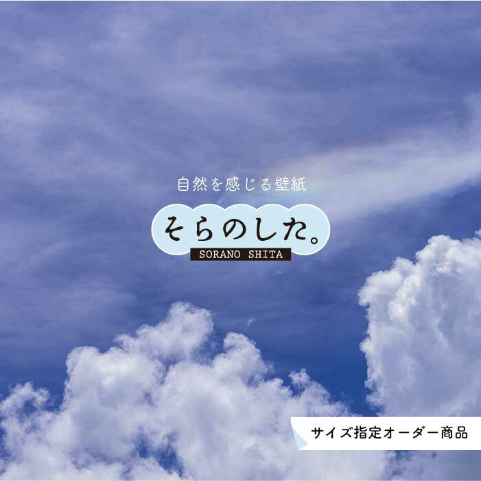 乐天商城 - 【オーダー壁紙】 壁紙 空 おしゃれ 写真 自然 雲 スカイ クラウド 癒し 貼りやすい デザイン 防カビ 日本製 国産 リメイク 模様替え 店舗 天井 部屋 寝室 キッチン リビング トイレ 美しい 風景 景色 白 ブルー かべがみはるこ そらのした。