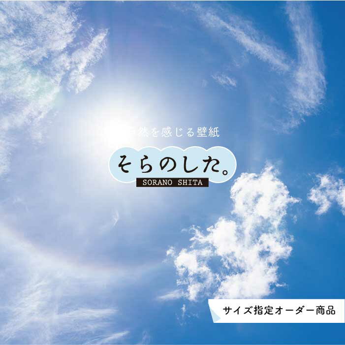 乐天商城 - 【オーダー壁紙】 壁紙 空 おしゃれ 写真 自然 雲 スカイ クラウド 癒し 貼りやすい デザイン 防カビ 日本製 国産 リメイク 模様替え 店舗 天井 部屋 寝室 キッチン リビング トイレ 美しい 風景 景色 白 ブルー かべがみはるこ そらのした。
