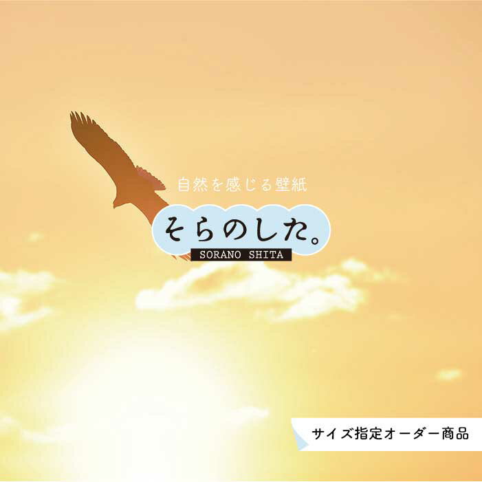 Rakuten - 【オーダー壁紙】 壁紙 空 夕日 おしゃれ 写真 自然 雲 スカイ クラウド 癒し 貼りやすい デザイン 防カビ 日本製 国産 リメイク 模様替え 店舗 天井 部屋 寝室 キッチン リビング トイレ 美しい 風景 景色 オレンジ かべがみはるこ そらのした。