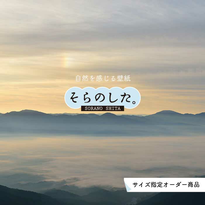 クロス フォト 青空 くも 絶景 Sky Cloud ホワイト 青 のりなし のり付き可能 デジタルプリント壁紙 インテリア 新築やリフォームにおすすめ 壁紙 雲海 空 おしゃれ 50 Off 写真 自然 雲 スカイ クラウド 部屋 天井 貼りやすい 防カビ リメイク 雲の上 かべがみ