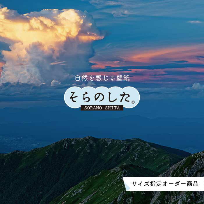 ▼ショップレビューはこちら 商品情報 販売価格について表示の価格は約1平米（幅90cm × 高さ1m）に対しての価格です。サイズを指定される場合、弊社独自のオーダーサイズ自動計算ツールで数量計算致しますので是非ご利用ください。 品番 ss1...