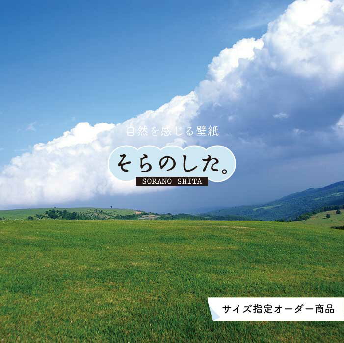 【オーダー壁紙】 壁紙 草原 写真 おしゃれ 自然 グリーン 丘 原っぱ 空 雲 開放的 貼りやすい デザイン 防カビ 日本製 国産 リメイク 模様替え 店 天井 部屋 寝室 キッチン リビング トイレ 風景 景色 かべがみはるこ そらのした。