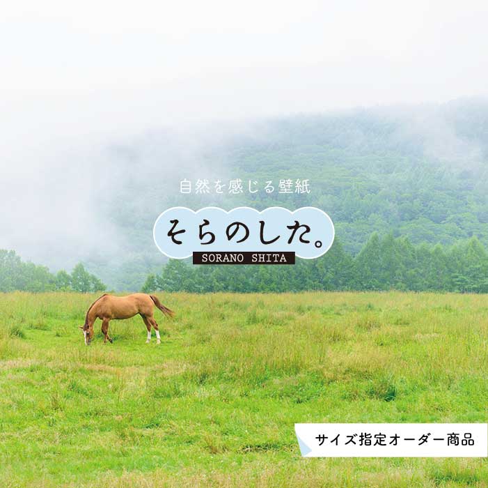 Rakuten - 【オーダー壁紙】 壁紙 動物 馬 うま 写真 おしゃれ 貼りやすい デザイン 国産 日本製 リメイク 模様替え 店 天井 部屋 寝室 キッチン リビング トイレ 風景 景色 かべがみはるこ そらのした。
