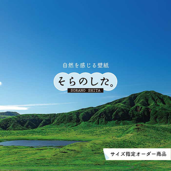 Rakuten - 【オーダー壁紙】 壁紙 草原 写真 おしゃれ 自然 グリーン 平原 原っぱ 空 雲 開放的 貼りやすい デザイン 防カビ 日本製 国産 リメイク 模様替え 店 天井 部屋 寝室 キッチン リビング トイレ 風景 景色 かべがみはるこ そらのした。