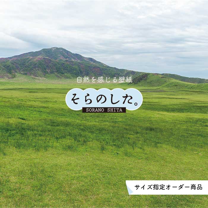Rakuten - 【オーダー壁紙】 壁紙 草原 写真 おしゃれ 自然 グリーン 丘 原っぱ 空 雲 開放的 貼りやすい デザイン 防カビ 日本製 国産 リメイク 模様替え 店 天井 部屋 寝室 キッチン リビング トイレ 風景 景色 かべがみはるこ そらのした。