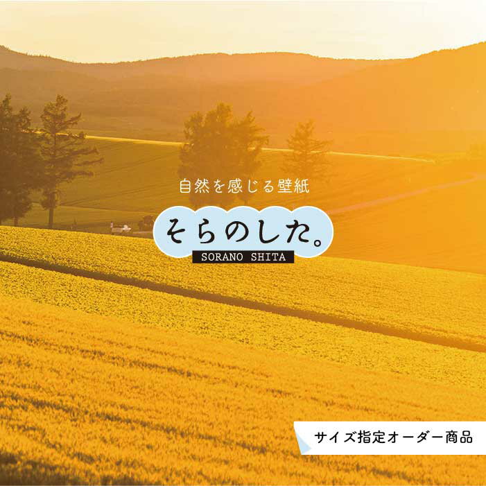 乐天商城 - 【オーダー壁紙】 壁紙 草原 写真 おしゃれ 自然 丘 原っぱ 夕日 空 雲 開放的 貼りやすい デザイン 防カビ 日本製 国産 リメイク 模様替え 店 天井 部屋 寝室 キッチン リビング トイレ 風景 景色 かべがみはるこ そらのした。