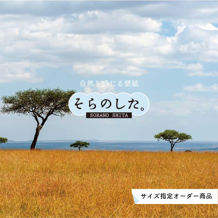 Rakuten - 【オーダー壁紙】 壁紙 草原 写真 おしゃれ 自然 サバンナ 原っぱ 空 雲 開放的 貼りやすい デザイン 防カビ 日本製 国産 リメイク 模様替え 店 天井 部屋 寝室 キッチン リビング トイレ 風景 景色 かべがみはるこ そらのした。