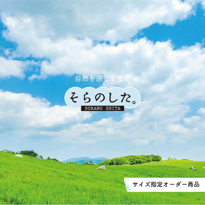 乐天商城 - 【オーダー壁紙】 壁紙 草原 写真 おしゃれ 自然 グリーン 丘 原っぱ 空 雲 開放的 貼りやすい デザイン 防カビ 日本製 国産 リメイク 模様替え 店 天井 部屋 寝室 キッチン リビング トイレ 風景 景色 かべがみはるこ そらのした。