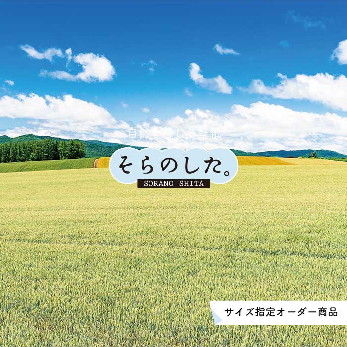 Rakuten - 【オーダー壁紙】 壁紙 草原 写真 おしゃれ 自然 グリーン 平原 原っぱ 空 雲 開放的 貼りやすい デザイン 防カビ 日本製 国産 リメイク 模様替え 店 天井 部屋 寝室 キッチン リビング トイレ 風景 景色 かべがみはるこ そらのした。