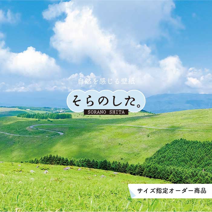 Rakuten - 【オーダー壁紙】 壁紙 草原 写真 おしゃれ 自然 グリーン 丘 原っぱ 空 雲 開放的 貼りやすい デザイン 防カビ 日本製 国産 リメイク 模様替え 店 天井 部屋 寝室 キッチン リビング トイレ 風景 景色 かべがみはるこ そらのした。