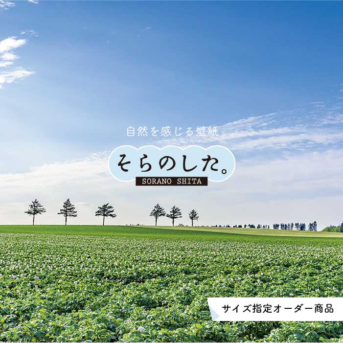 Rakuten - 【オーダー壁紙】 壁紙 草原 写真 おしゃれ 自然 グリーン 丘 原っぱ 空 雲 開放的 貼りやすい デザイン 防カビ 日本製 国産 リメイク 模様替え 店 天井 部屋 寝室 キッチン リビング トイレ 風景 景色 かべがみはるこ そらのした。