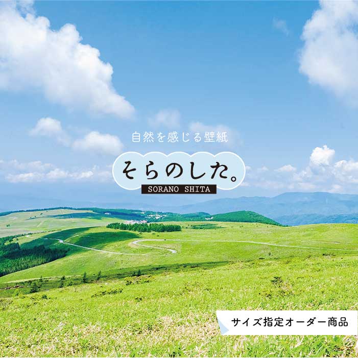 Rakuten - 【オーダー壁紙】 壁紙 草原 写真 おしゃれ 自然 グリーン 丘 原っぱ 空 雲 開放的 貼りやすい デザイン 防カビ 日本製 国産 リメイク 模様替え 店 天井 部屋 寝室 キッチン リビング トイレ 風景 景色 かべがみはるこ そらのした。