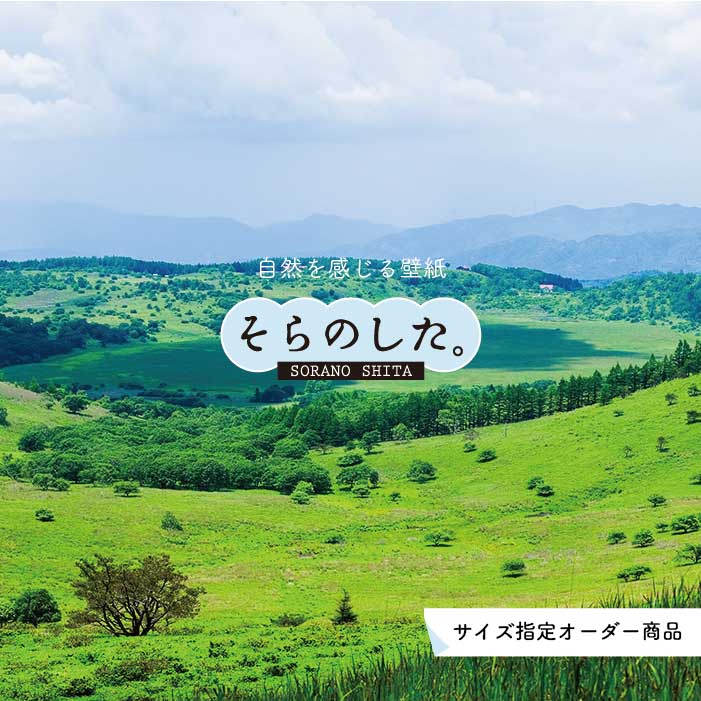 Rakuten - 【オーダー壁紙】 壁紙 草原 写真 おしゃれ 自然 グリーン 丘 原っぱ 空 雲 開放的 貼りやすい デザイン 防カビ 日本製 国産 リメイク 模様替え 店 天井 部屋 寝室 キッチン リビング トイレ 風景 景色 かべがみはるこ そらのした。