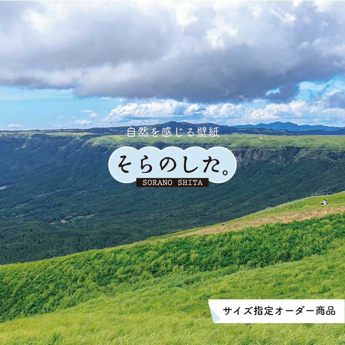Rakuten - 【オーダー壁紙】 壁紙 草原 写真 おしゃれ 自然 グリーン 丘 原っぱ 空 雲 開放的 貼りやすい デザイン 防カビ 日本製 国産 リメイク 模様替え 店 天井 部屋 寝室 キッチン リビング トイレ 風景 景色 かべがみはるこ そらのした。