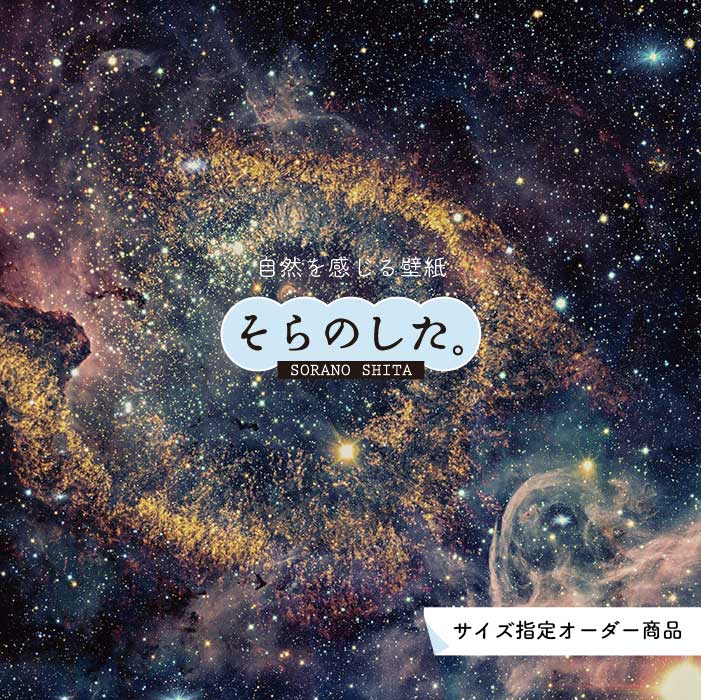 Rakuten - 【オーダー壁紙】 壁紙 星 空 星柄 おしゃれ 写真 プラネタリウム 自然 夜空 貼りやすい インテリア デザイン 防カビ 日本製 国産 リメイク 模様替え 店舗 天井 部屋 寝室 キッチン リビング トイレ 美しい 風景 景色 かべがみはるこ そらのした。