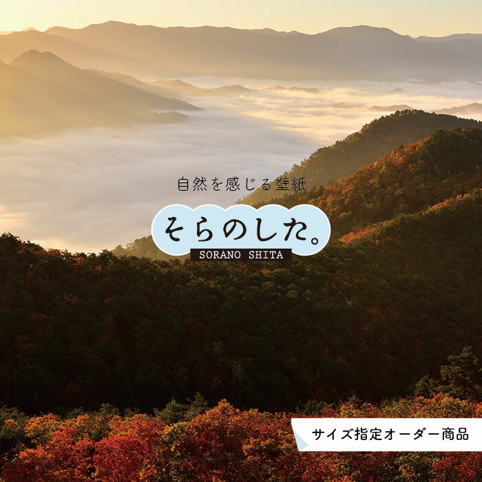 【オーダー壁紙】 壁紙 雲海 空 おしゃれ 写真 自然 雲 スカイ クラウド 雲の上 癒し 貼りやすい デザイン 防カビ 日本製 国産 リメイク 模様替え 店舗 天井 部屋 寝室 キッチン リビング トイレ 美しい 風景 景色 白 ブルー かべがみはるこ そらのした。