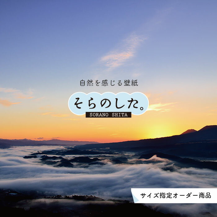 Rakuten - 【オーダー壁紙】 壁紙 雲海 空 おしゃれ 写真 自然 雲 スカイ クラウド 雲の上 癒し 貼りやすい デザイン 防カビ 日本製 国産 リメイク 模様替え 店舗 天井 部屋 寝室 キッチン リビング トイレ 美しい 風景 景色 白 ブルー かべがみはるこ そらのした。