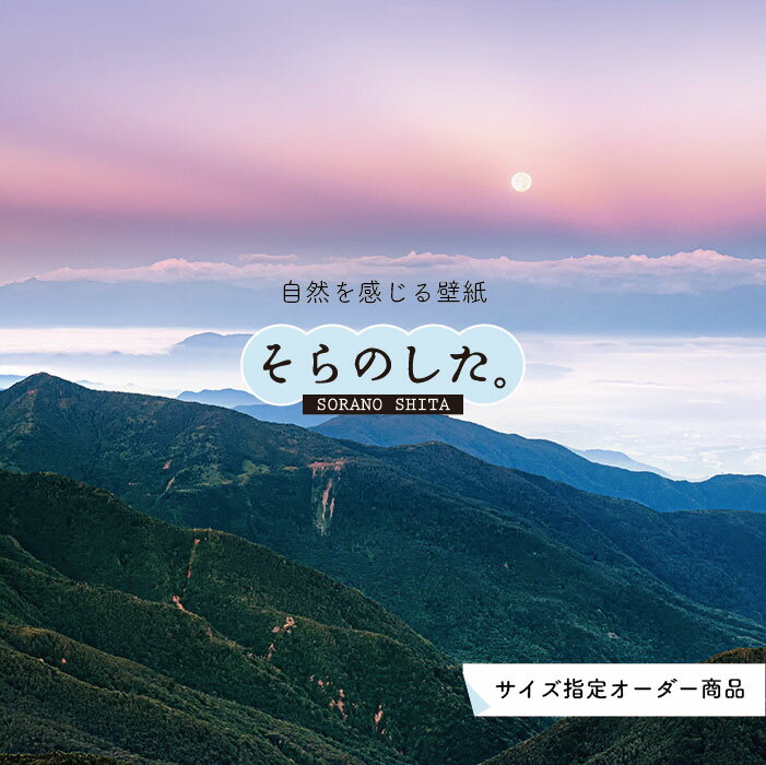 Rakuten - 【オーダー壁紙】 壁紙 雲海 空 おしゃれ 写真 自然 雲 スカイ クラウド 雲の上 癒し 貼りやすい デザイン 防カビ 日本製 国産 リメイク 模様替え 店舗 天井 部屋 寝室 キッチン リビング トイレ 美しい 風景 景色 白 ブルー かべがみはるこ そらのした。