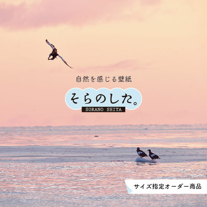 乐天商城 - 【オーダー壁紙】 壁紙 海 夕陽 写真 おしゃれ 自然 ビーチ リゾート 海岸 砂浜 夕日 夕方 貼りやすい デザイン 防カビ 日本製 国産 リメイク 模様替え 店舗 内装 部屋 寝室 キッチン リビング トイレ 風景 景色 ピンク かべがみはるこ そらのした。
