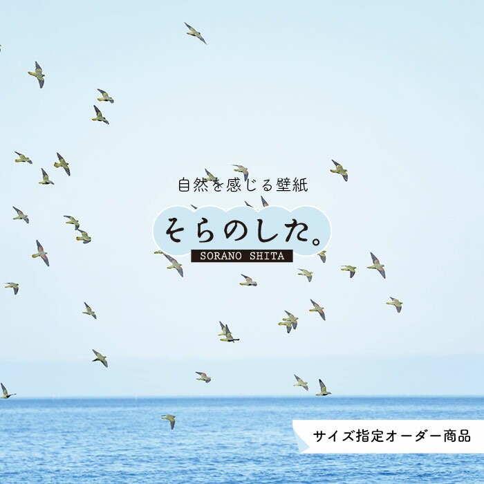 Rakuten - 【オーダー壁紙】 壁紙 海 写真 おしゃれ 自然 空 ビーチ リゾート 海岸 砂浜 マリン 貼りやすい デザイン 防カビ 日本製 国産 アクセントクロス リメイク 模様替え 店舗 内装 部屋 寝室 キッチン リビング トイレ 風景 景色 ブルー かべがみはるこ そらのした。