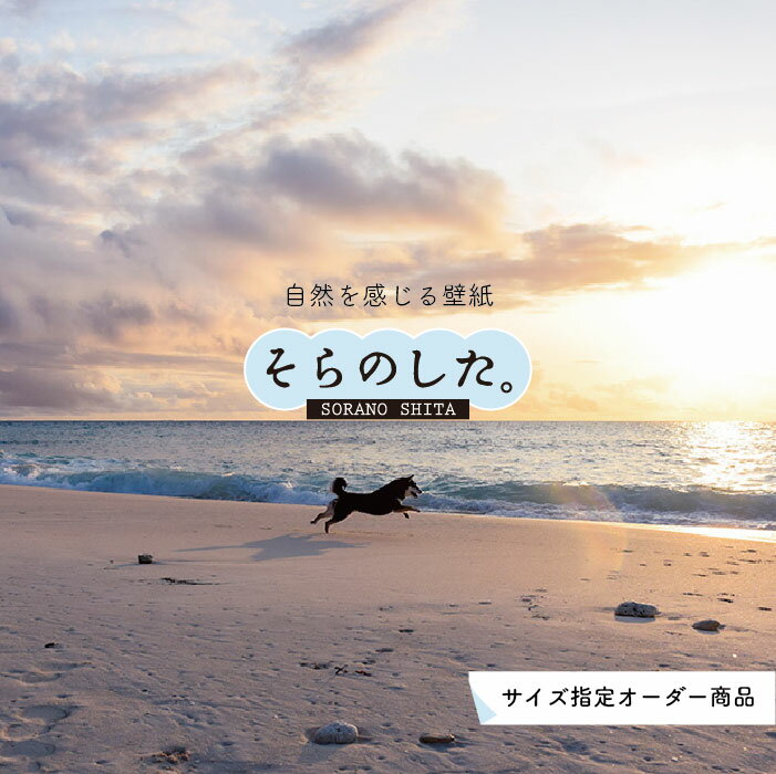 乐天商城 - 【オーダー壁紙】 壁紙 海 動物 柴犬 しば犬 夕陽 写真 かわいい ビーチ 海岸 砂浜 夕日 夕方 貼りやすい デザイン 防カビ 日本製 国産 リメイク 模様替え 店舗 内装 部屋 寝室 キッチン リビング トイレ 風景 景色 かべがみはるこ そらのした。