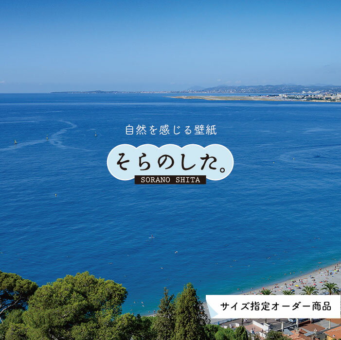 Rakuten - 【オーダー壁紙】 壁紙 海 写真 おしゃれ 自然 空 ビーチ リゾート 海岸 砂浜 マリン 貼りやすい デザイン 防カビ 日本製 国産 アクセントクロス リメイク 模様替え 店舗 内装 部屋 寝室 キッチン リビング トイレ 風景 景色 ブルー かべがみはるこ そらのした。