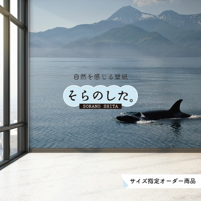 乐天商城 - 【オーダー壁紙】 壁紙 海 写真 おしゃれ 自然 空 ビーチ リゾート シャチ マリン 貼りやすい デザイン 防カビ 日本製 国産 アクセントクロス リメイク 模様替え 店舗 内装 部屋 寝室 キッチン リビング トイレ 風景 景色 ブルー かべがみはるこ そらのした。