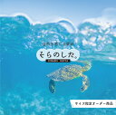  壁紙 海の中 水中 ダイビング ウミガメ 写真 おしゃれ 自然 幻想的 貼りやすい デザイン 防カビ 日本製 国産 リメイク 模様替え 店舗 天井 部屋 寝室 キッチン リビング トイレ 風景 景色 ブルー かべがみはるこ そらのした。