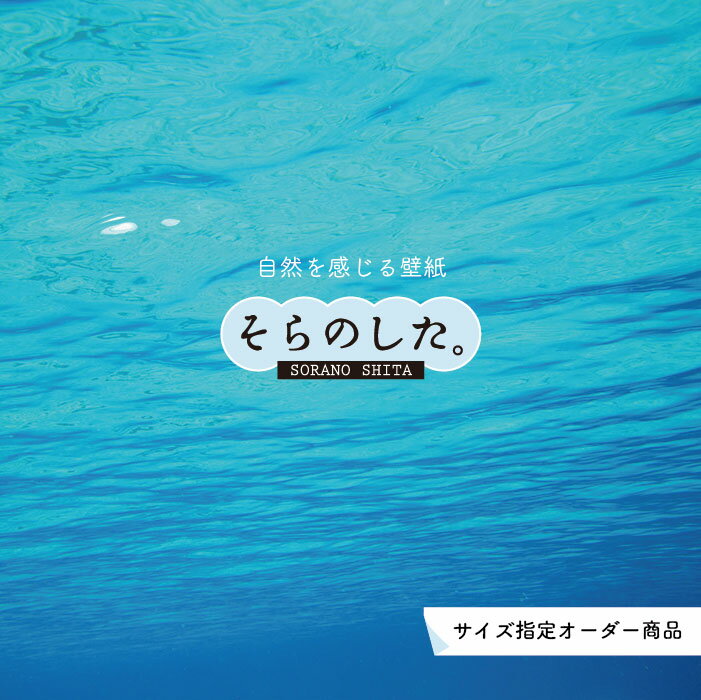Rakuten - 【オーダー壁紙】 壁紙 海の中 水中 ダイビング 写真 おしゃれ 自然 幻想的 貼りやすい デザイン 防カビ 日本製 国産 リメイク 模様替え 店舗 天井 部屋 寝室 キッチン リビング トイレ 風景 景色 ブルー かべがみはるこ そらのした。