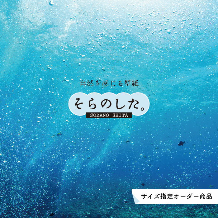 Rakuten - 【オーダー壁紙】 壁紙 海の中 水中 ダイビング 熱帯魚 写真 おしゃれ 自然 幻想的 貼りやすい デザイン 防カビ 日本製 国産 リメイク 模様替え 店舗 天井 部屋 寝室 キッチン リビング トイレ 風景 景色 ブルー かべがみはるこ そらのした。
