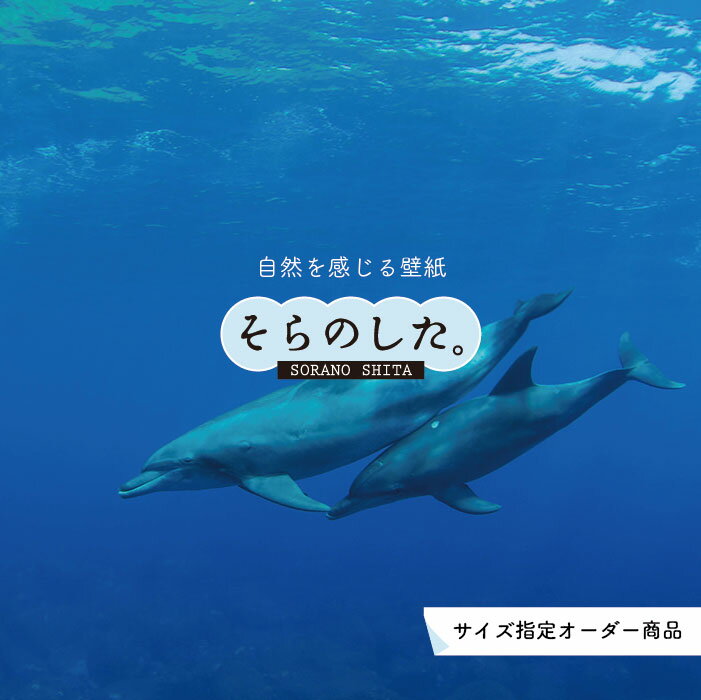 【オーダー壁紙】 壁紙 海の中 水中 ダイビング イルカ 海豚 写真 おしゃれ 自然 幻想的 貼りやすい デザイン 防カビ 日本製 国産 リメイク 模様替え 店舗 天井 部屋 寝室 キッチン リビング トイレ 風景 景色 ブルー かべがみはるこ そらのした。