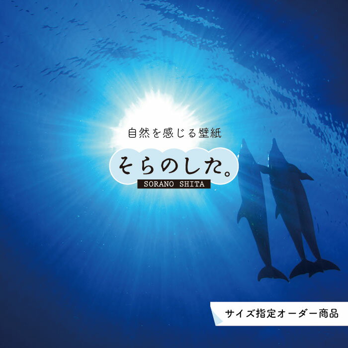 �ڥ��������ɻ�� �ɻ� ������ ���� �����ӥ� ���륫 ���� �̿� ������� ���� ����Ū Ž��䤹�� �ǥ����� �ɥ��� ������ �� ��ᥤ�� �����ؤ� Ź...