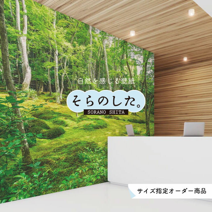 乐天商城 - 【オーダー壁紙】 壁紙 森林 写真 おしゃれ 自然 癒し 貼りやすい デザイン 防カビ 日本製 国産 リメイク 模様替え 店舗 天井 部屋 寝室 キッチン リビング トイレ 風景 景色 グリーン かべがみはるこ そらのした。 【ss17331】