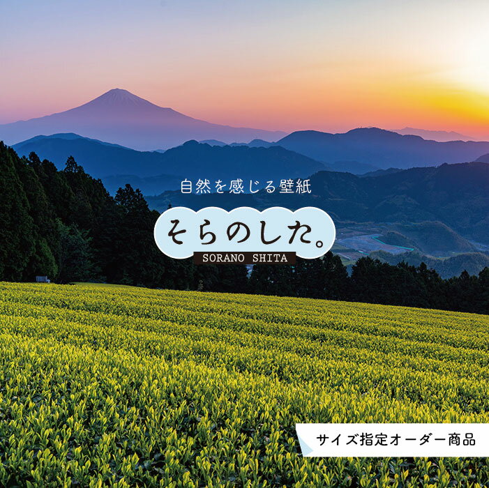 Rakuten - 【オーダー壁紙】 壁紙 富士山 山 茶畑 茶葉 写真 綺麗 おしゃれ 美しい 自然 貼りやすい デザイン 防カビ 日本製 国産 リメイク 模様替え 店 部屋 和室 寝室 キッチン リビング トイレ 風景 景色 かべがみはるこ そらのした。