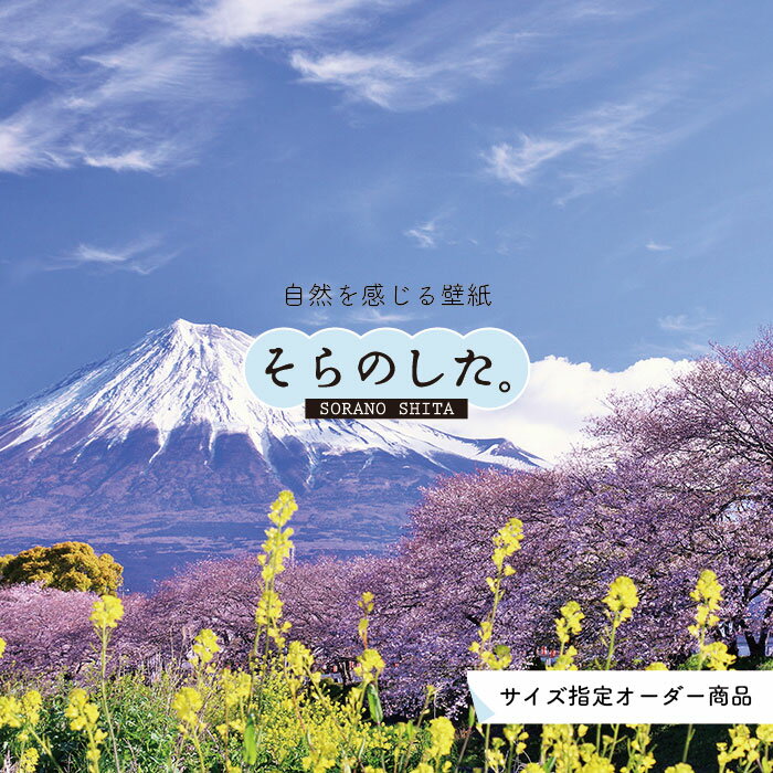 【オーダー壁紙】 壁紙 富士山 山 空 桜 菜の花 写真 綺麗 おしゃれ 美しい 自然 貼りやすい デザイン 防カビ 日本製 国産 リメイク 模様替え 店 部屋 和室 寝室 キッチン リビング トイレ 風景 景色 かべがみはるこ そらのした。