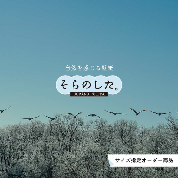 【オーダー壁紙】 壁紙 空 おしゃれ 写真 自然 雲 スカイ クラウド 癒し 貼りやすい デザイン 防カビ 日本製 国産 リメイク 模様替え 店舗 天井 部屋 寝室 キッチン リビング トイレ 美しい 風景 景色 白 ブルー かべがみはるこ そらのした。