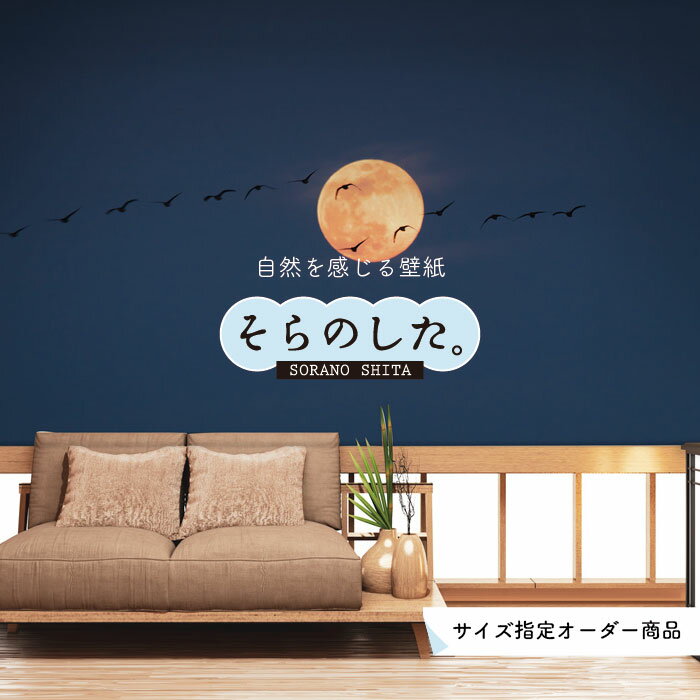 乐天商城 - 【オーダー壁紙】 壁紙 星 空 星柄 おしゃれ 写真 プラネタリウム 自然 夜空 貼りやすい インテリア デザイン 防カビ 日本製 国産 リメイク 模様替え 店舗 天井 部屋 寝室 キッチン リビング トイレ 美しい 風景 景色 かべがみはるこ そらのした。