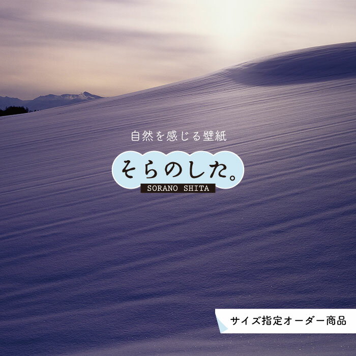 Rakuten - 【オーダー壁紙】 壁紙 雪 写真 おしゃれ 自然 貼りやすい デザイン 防カビ 日本製 国産 リメイク 模様替え 店 天井 部屋 寝室 キッチン リビング トイレ 風景 冬 景色 ホワイト かべがみはるこ そらのした。