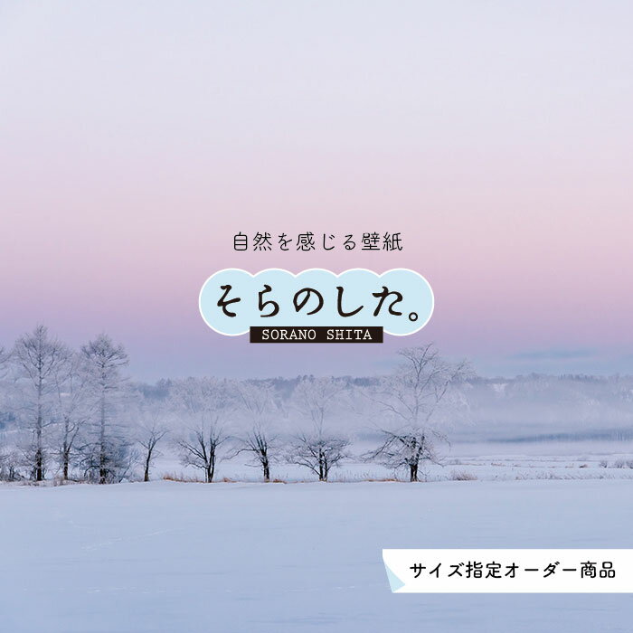 Rakuten - 【オーダー壁紙】 壁紙 雪 写真 おしゃれ 自然 貼りやすい デザイン 防カビ 日本製 国産 リメイク 模様替え 店 天井 部屋 寝室 キッチン リビング トイレ 風景 冬 景色 ホワイト かべがみはるこ そらのした。