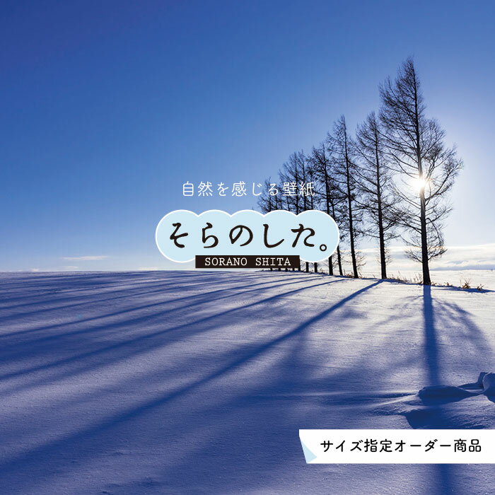 Rakuten - 【オーダー壁紙】 壁紙 雪 写真 おしゃれ 自然 貼りやすい デザイン 防カビ 日本製 国産 リメイク 模様替え 店 天井 部屋 寝室 キッチン リビング トイレ 木 林 風景 冬 景色 ホワイト かべがみはるこ そらのした。