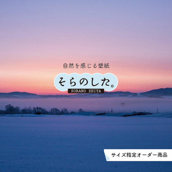 Rakuten - 【オーダー壁紙】 壁紙 雪 写真 おしゃれ 自然 貼りやすい デザイン 防カビ 日本製 国産 リメイク 模様替え 店 天井 部屋 寝室 キッチン リビング トイレ 風景 冬 景色 ホワイト かべがみはるこ そらのした。