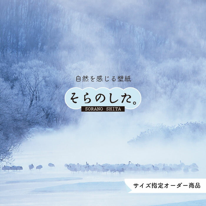 Rakuten - 【オーダー壁紙】 壁紙 雪 写真 おしゃれ 自然 貼りやすい デザイン 防カビ 日本製 国産 リメイク 模様替え 店 天井 部屋 寝室 キッチン リビング トイレ 風景 冬 景色 ホワイト かべがみはるこ そらのした。