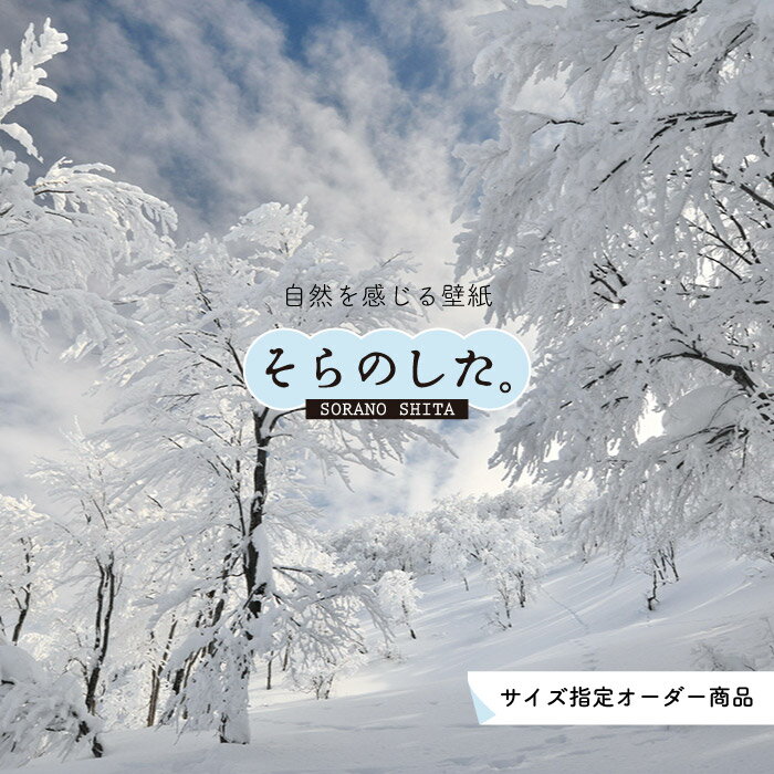 Rakuten - 【オーダー壁紙】 壁紙 雪 写真 おしゃれ 自然 貼りやすい デザイン 防カビ 日本製 国産 リメイク 模様替え 店 天井 部屋 寝室 キッチン リビング トイレ 風景 冬 景色 ホワイト かべがみはるこ そらのした。