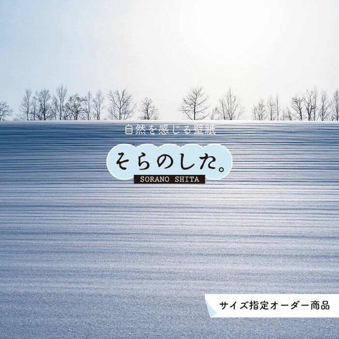 乐天商城 - 【オーダー壁紙】 壁紙 雪 写真 おしゃれ 自然 貼りやすい デザイン 防カビ 日本製 国産 リメイク 模様替え 店 天井 部屋 寝室 キッチン リビング トイレ 風景 冬 景色 ホワイト かべがみはるこ そらのした。