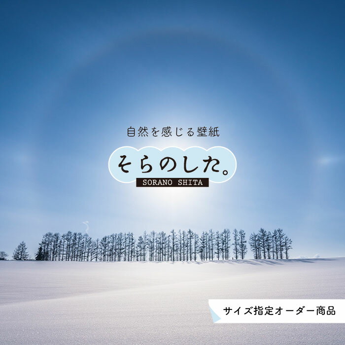 乐天商城 - 【オーダー壁紙】 壁紙 雪 写真 おしゃれ 自然 貼りやすい デザイン 防カビ 日本製 国産 リメイク 模様替え 店 天井 部屋 寝室 キッチン リビング トイレ 風景 冬 景色 ホワイト かべがみはるこ そらのした。