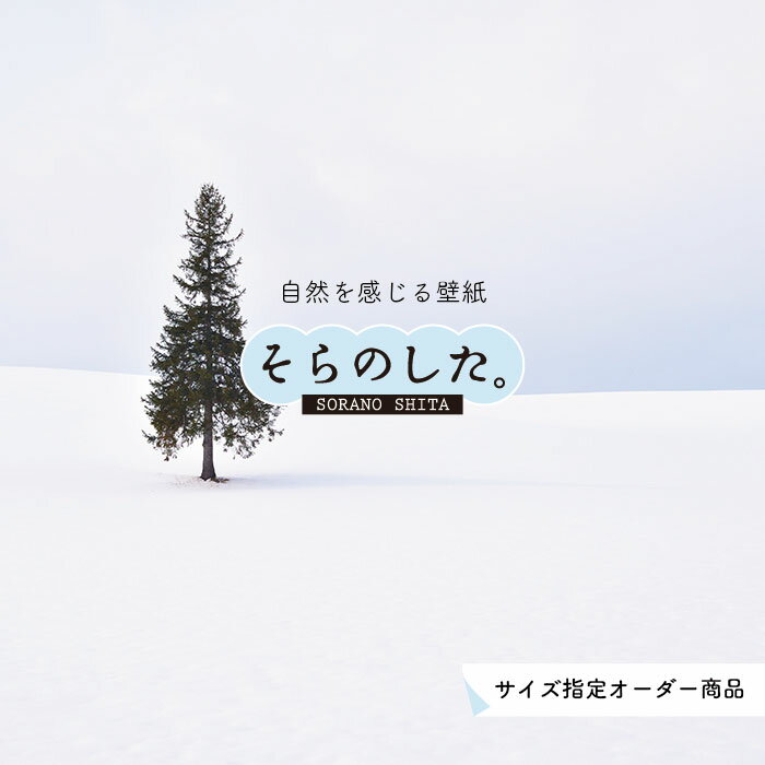 Rakuten - 【オーダー壁紙】 壁紙 雪 写真 おしゃれ 自然 貼りやすい デザイン 防カビ 日本製 国産 リメイク 模様替え 店 天井 部屋 寝室 キッチン リビング トイレ 風景 冬 景色 ホワイト かべがみはるこ そらのした。